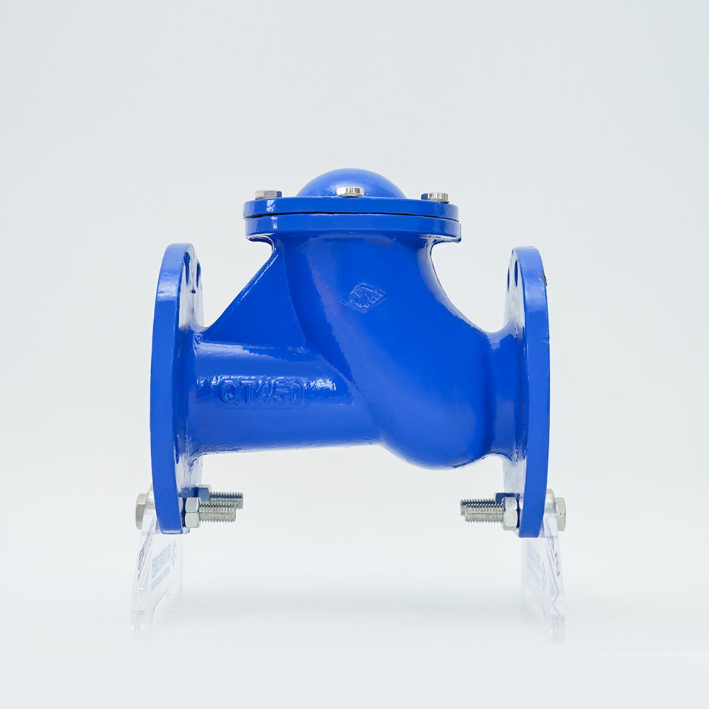 Glijbaan Rolling Ball Type terugslagklep HQ41X-16Q